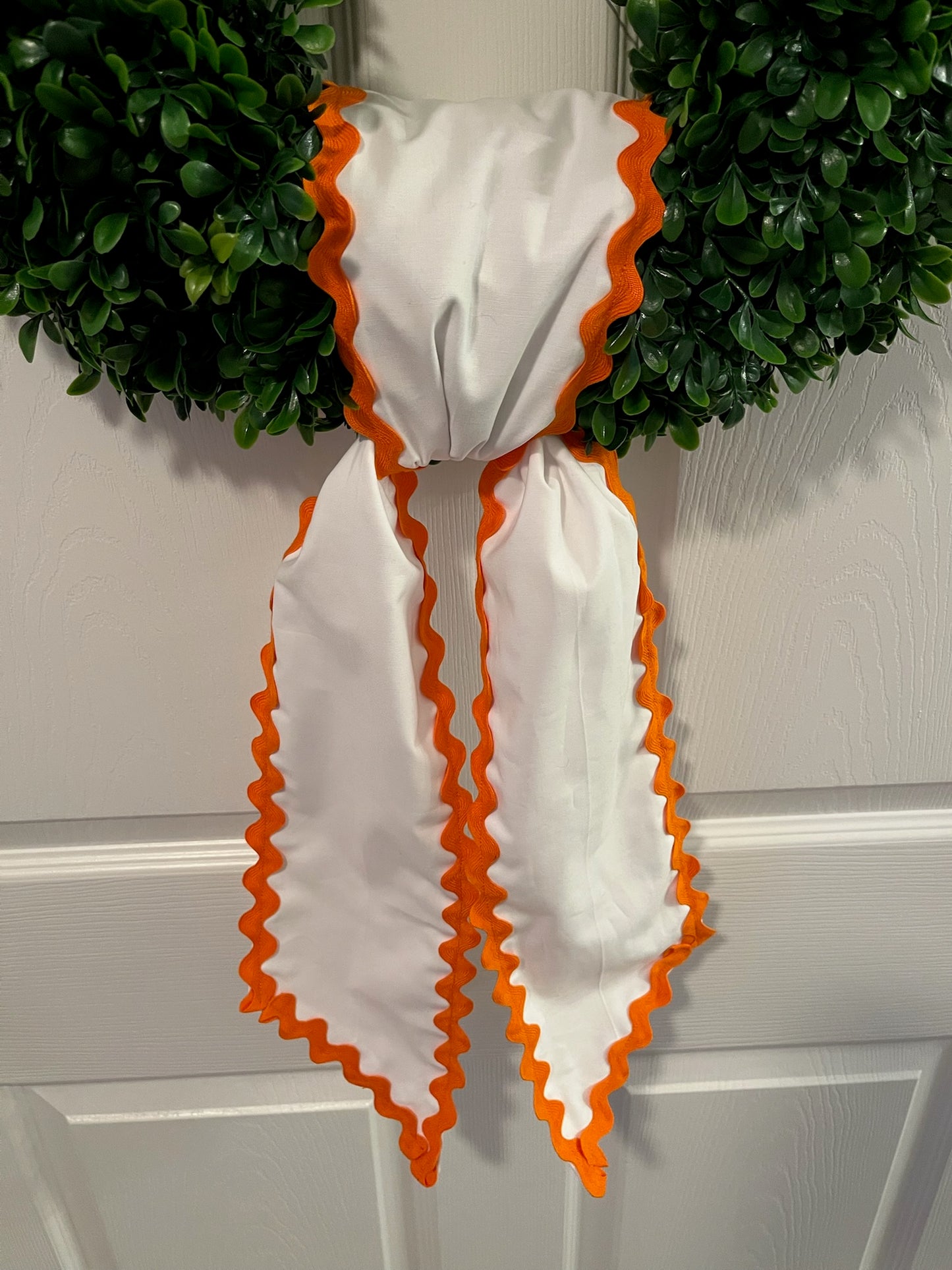 Solid Collegiate Sashes